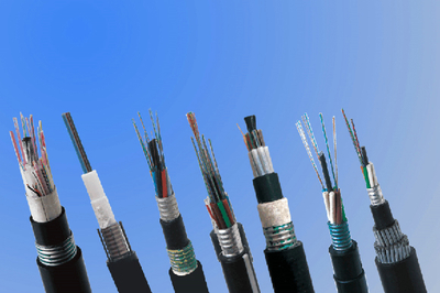 中天科技蟬聯全球光纖光纜最具綜合競爭力企業10強，光纖電纜產業再獲殊榮
